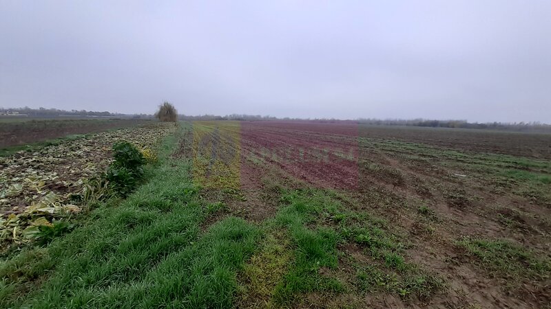 Teren Investitie aproape de Bucuresti