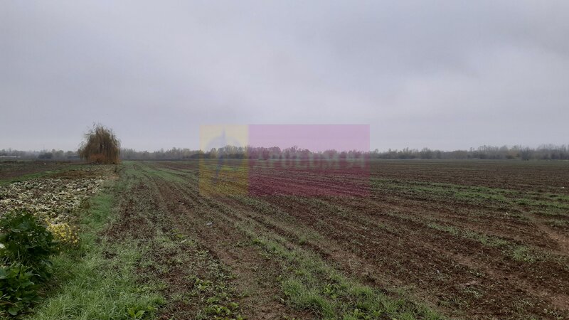 Teren Investitie aproape de Bucuresti