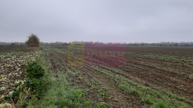 Teren Investitie aproape de Bucuresti