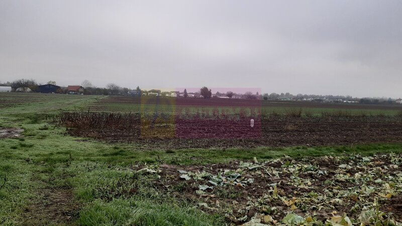 Teren Investitie aproape de Bucuresti